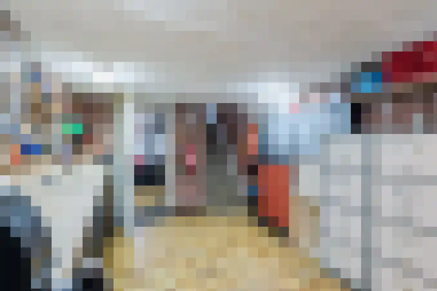 Johannes Vermeerlaan 5 Nieuwe Pekela thumbnail 65