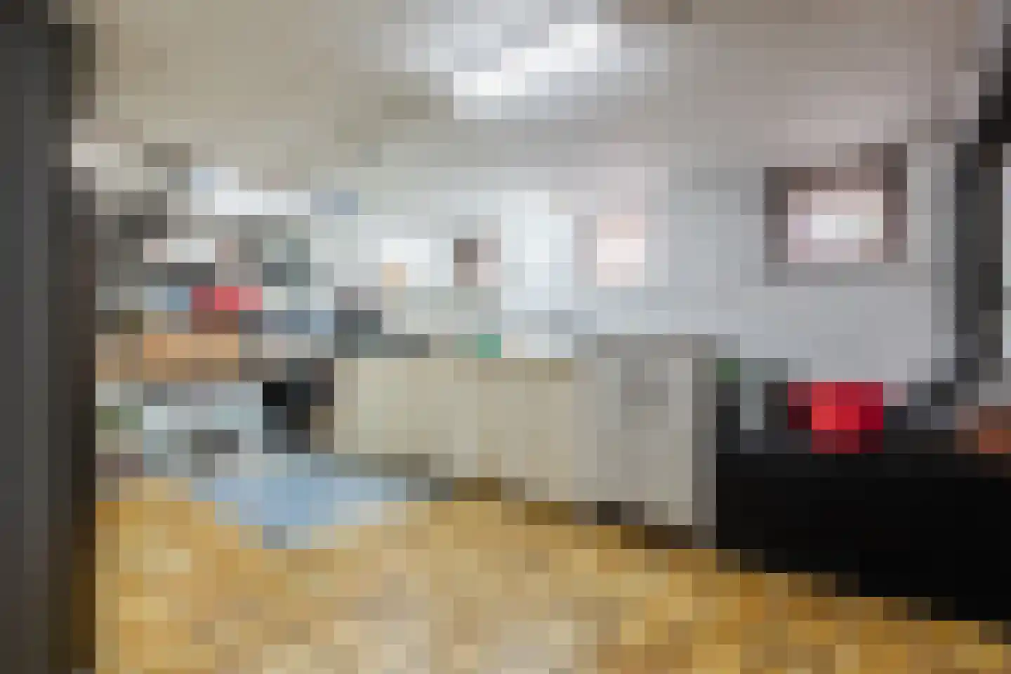 Johannes Vermeerlaan 5 Nieuwe Pekela thumbnail 67