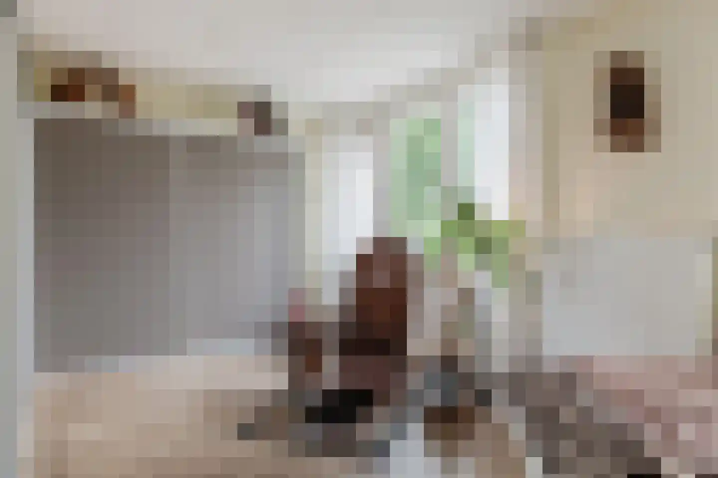 Johannes Vermeerlaan 5 Nieuwe Pekela thumbnail 72