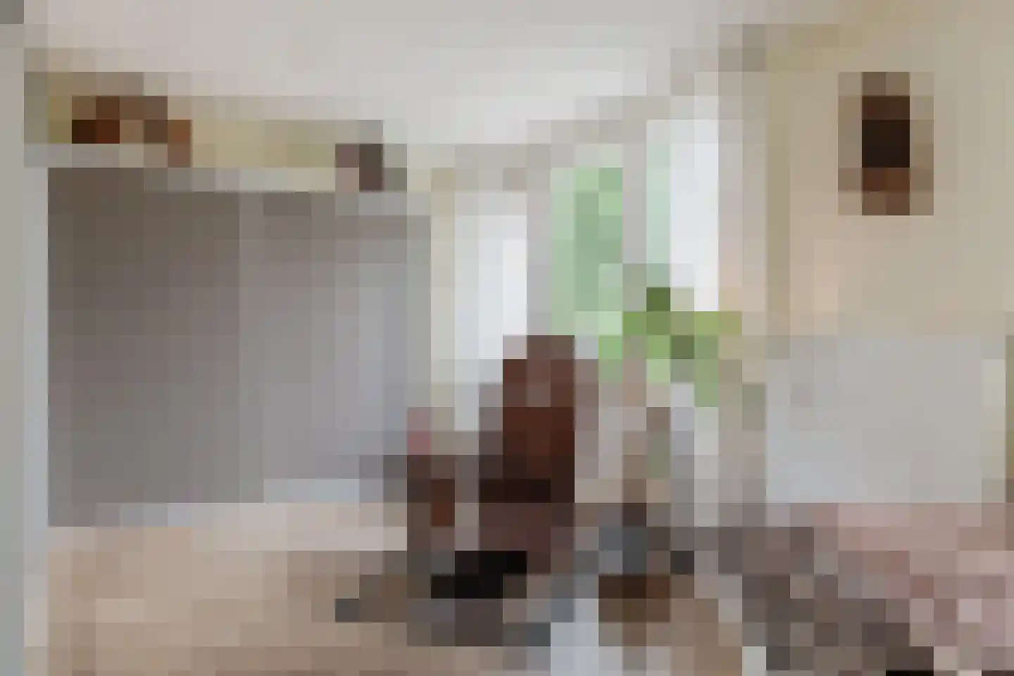 Johannes Vermeerlaan 5 Nieuwe Pekela thumbnail 75