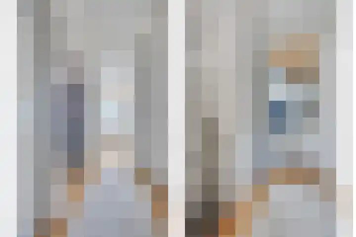 Johannes Vermeerlaan 66 Helmond thumbnail 12
