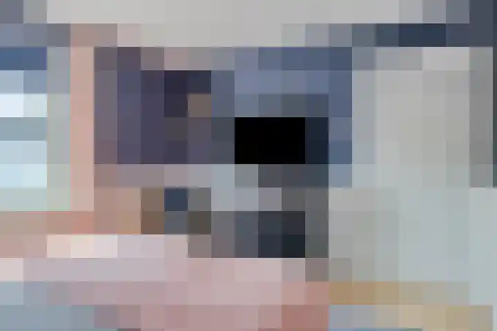Johannes Vermeerlaan 66 Helmond thumbnail 14