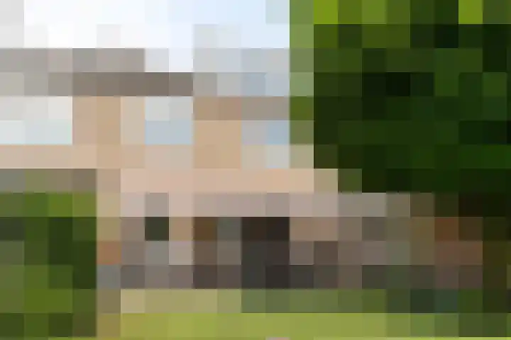 Johannes Vermeerlaan 66 Helmond thumbnail 23