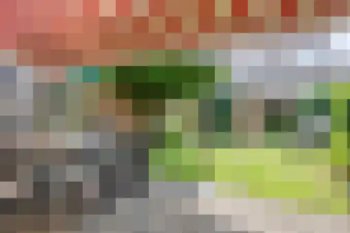 Johannes Vermeerlaan 66 Helmond thumbnail 26