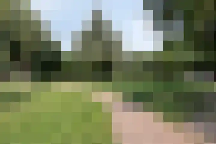 Johannes Vermeerlaan 66 Helmond thumbnail 29