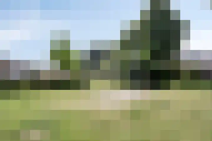 Johannes Vermeerlaan 66 Helmond thumbnail 30