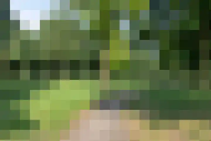 Johannes Vermeerlaan 66 Helmond thumbnail 31