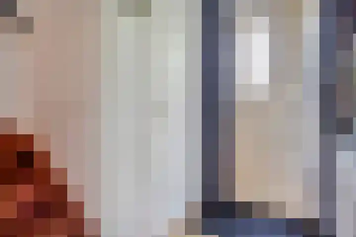 Johannes Vermeerlaan 66 Helmond thumbnail 4