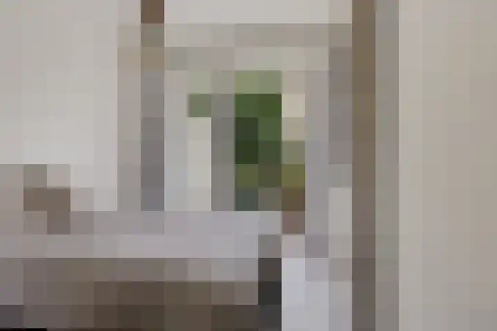 Johannes Vermeerlaan 70 Baarn thumbnail 10