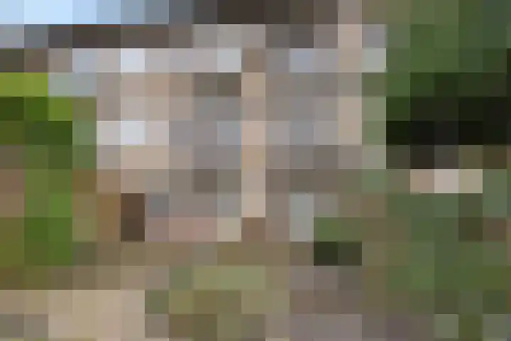 Johannes Vermeerlaan 70 Baarn thumbnail 17