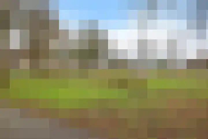 Johannes Vermeerlaan 70 Baarn thumbnail 20