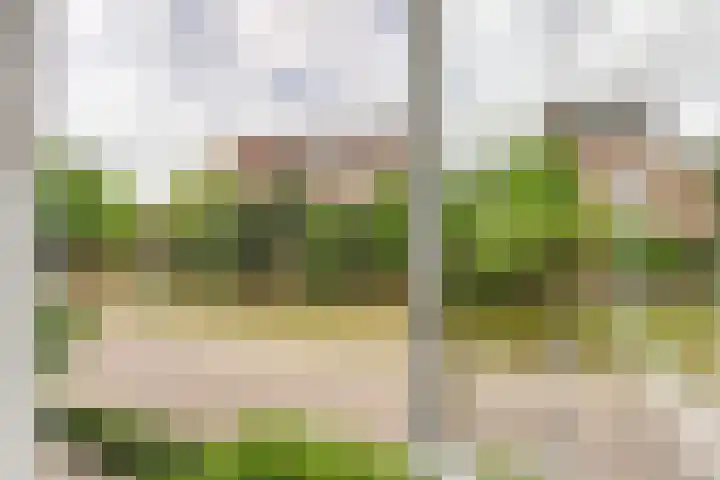 Johannes Vermeerlaan 8 Baarn thumbnail 17