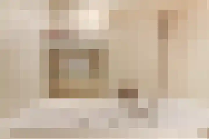 Johannes Vermeerlaan 8 Baarn thumbnail 20