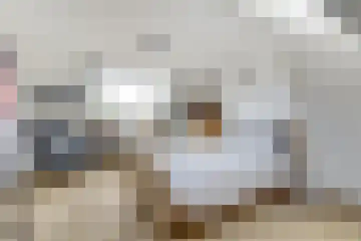 Johannes Vermeerlaan 8 Baarn thumbnail 27