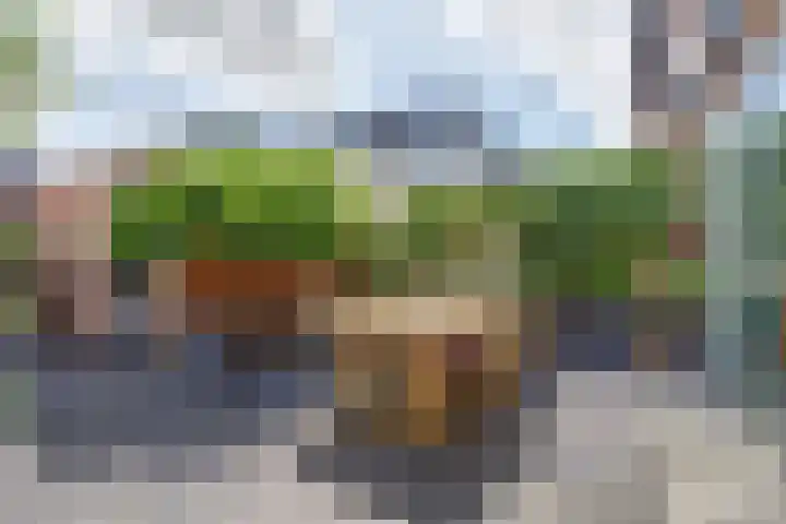 Johannes Vermeerlaan 8 Baarn thumbnail 31