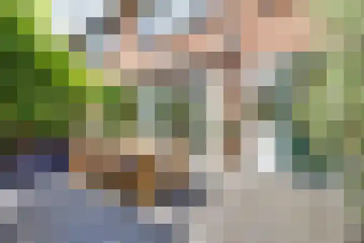 Johannes Vermeerlaan 8 Baarn thumbnail 32