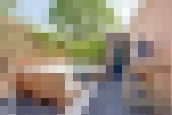 Johannes Vermeerlaan 8 Baarn thumbnail 35