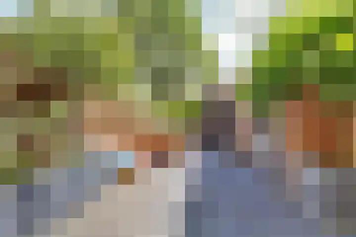 Johannes Vermeerlaan 8 Baarn thumbnail 36