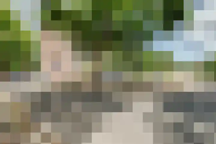 Johannes Vermeerlaan 8 Baarn thumbnail 39