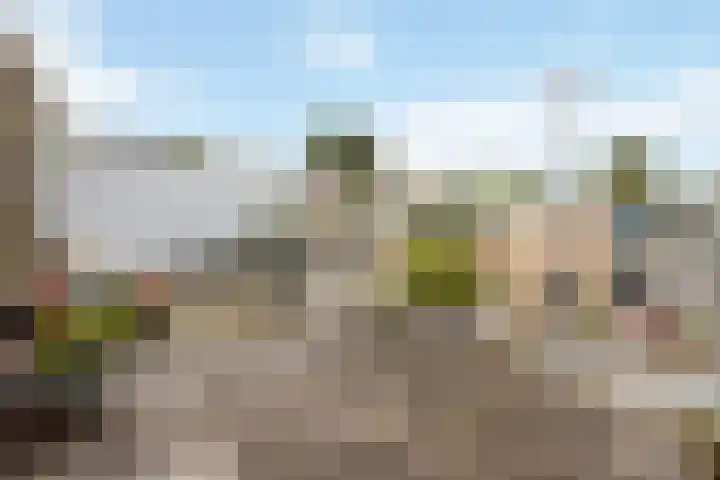 Johannes Vermeerplantsoen 3 Voorschoten thumbnail 10