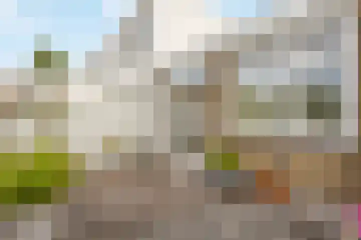 Johannes Vermeerplantsoen 3 Voorschoten thumbnail 13