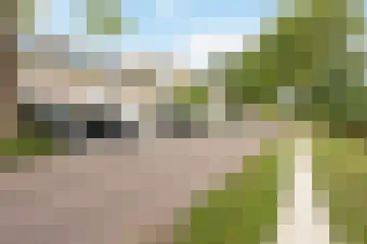 Johannes Vermeerplantsoen 3 Voorschoten thumbnail 26