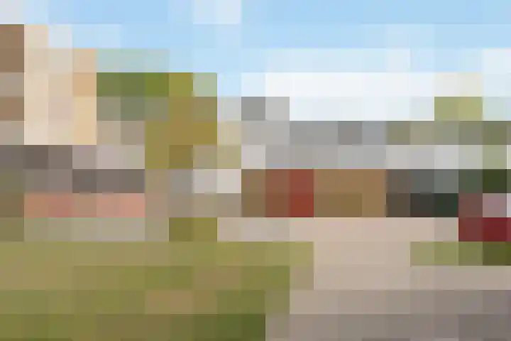 Johannes Vermeerplantsoen 3 Voorschoten thumbnail 28
