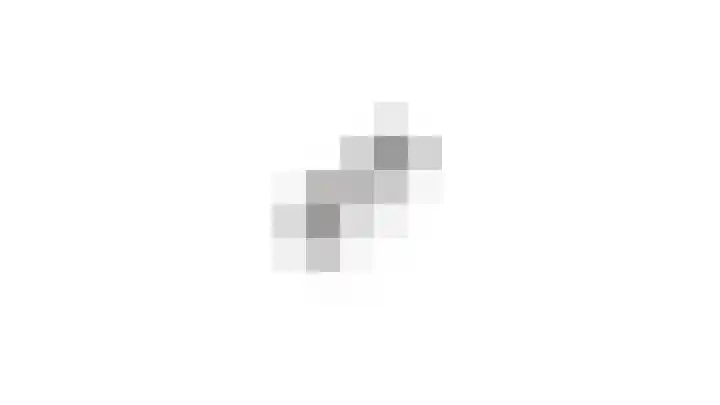 Johannes Vermeerplantsoen 3 Voorschoten thumbnail 31