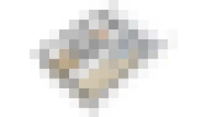 Johannes Vermeerplantsoen 3 Voorschoten thumbnail 33