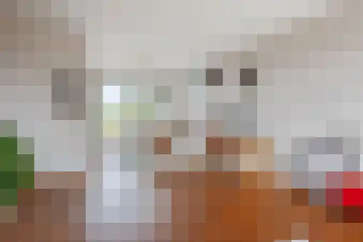 Johannes Vermeerplantsoen 3 Voorschoten thumbnail 5