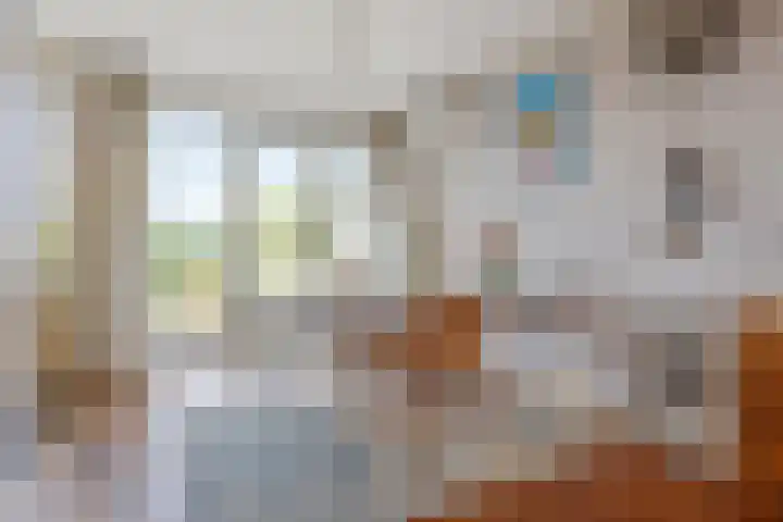 Johannes Vermeerplantsoen 3 Voorschoten thumbnail 6