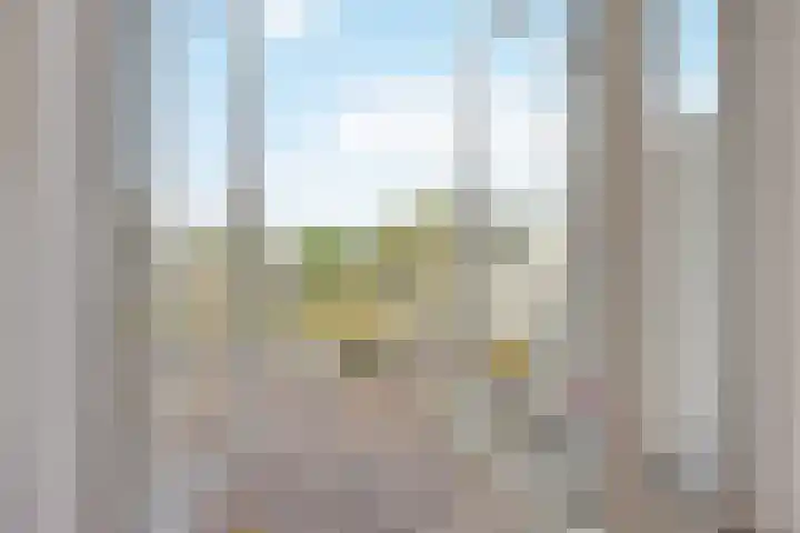 Johannes Vermeerplantsoen 3 Voorschoten thumbnail 9
