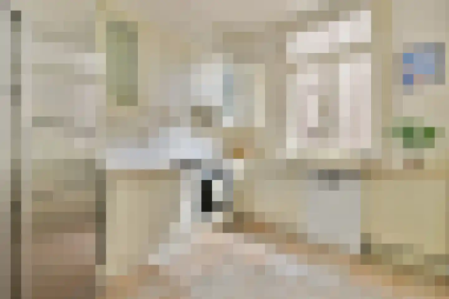 Johannes Vermeerplein 16 2 Amsterdam thumbnail 15