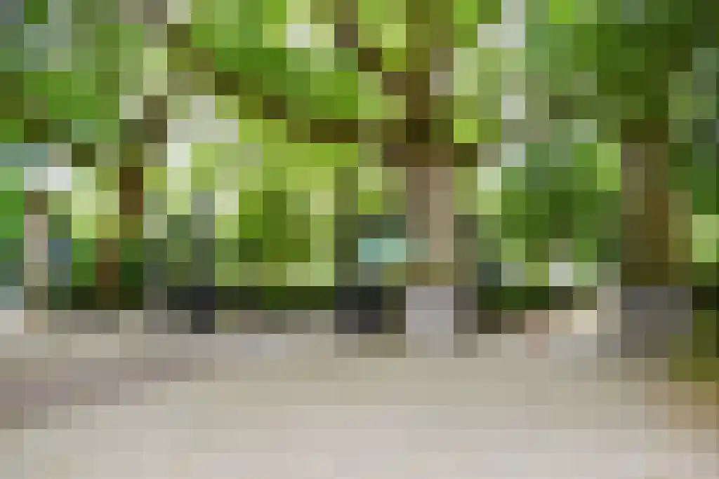 Johannes Vermeerplein 16 2 Amsterdam thumbnail 42