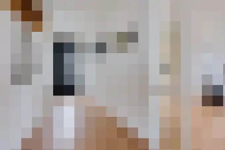 Johannes Vermeersingel 21 Rijnsburg thumbnail 10