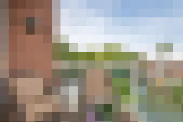 Johannes Vermeersingel 21 Rijnsburg thumbnail 21