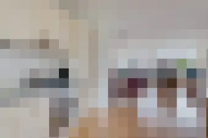 Johannes Vermeersingel 21 Rijnsburg thumbnail 24