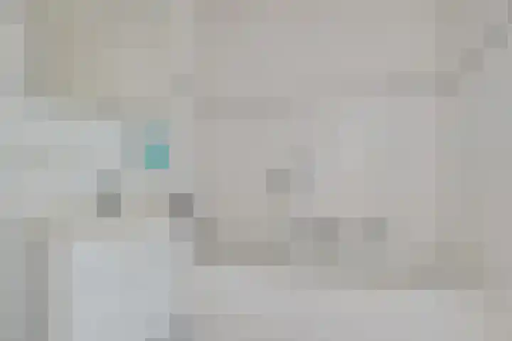 Johannes Vermeersingel 21 Rijnsburg thumbnail 26