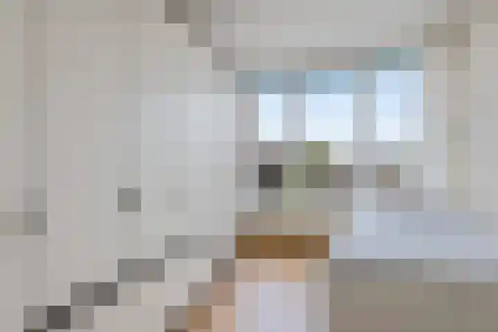 Johannes Vermeersingel 21 Rijnsburg thumbnail 34