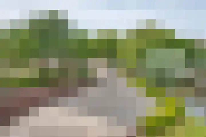 Johannes Vermeersingel 21 Rijnsburg thumbnail 35