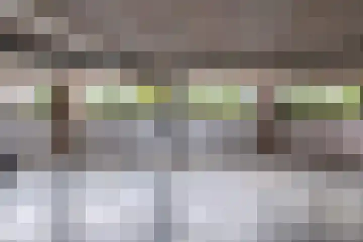 Johannes Vermeersingel 21 Rijnsburg thumbnail 38