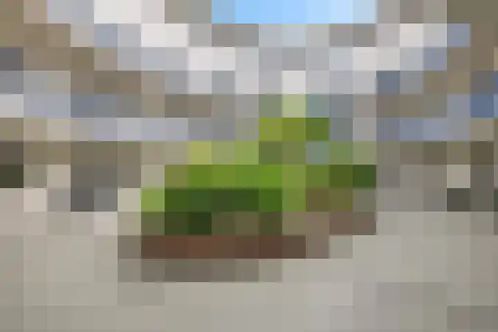 Johannes Vermeersingel 21 Rijnsburg thumbnail 39