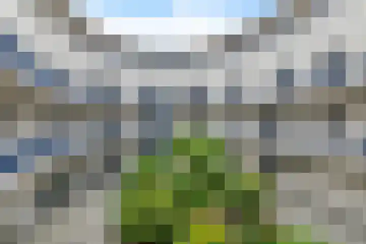 Johannes Vermeersingel 21 Rijnsburg thumbnail 40