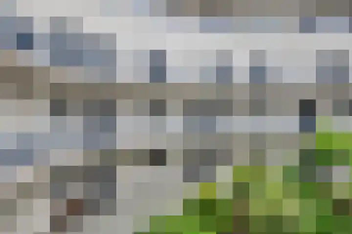 Johannes Vermeersingel 21 Rijnsburg thumbnail 41