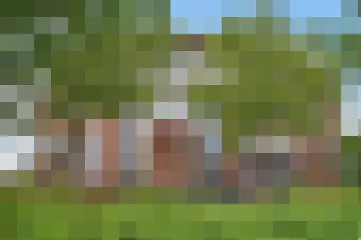 Johannes Vermeersingel 21 Rijnsburg thumbnail 43