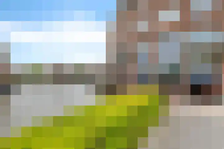 Johannes Vermeersingel 21 Rijnsburg thumbnail 50