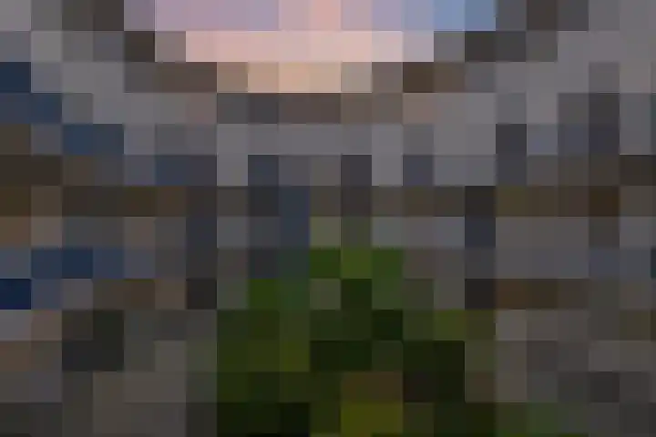 Johannes Vermeersingel 21 Rijnsburg thumbnail 52