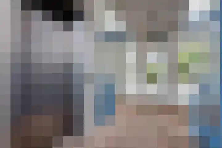 Johannes Vermeersingel 21 Rijnsburg thumbnail 6