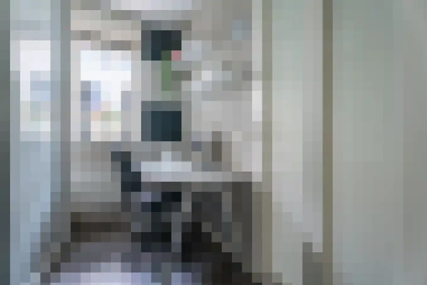 Johannes Vermeersingel 22 Rijnsburg thumbnail 24