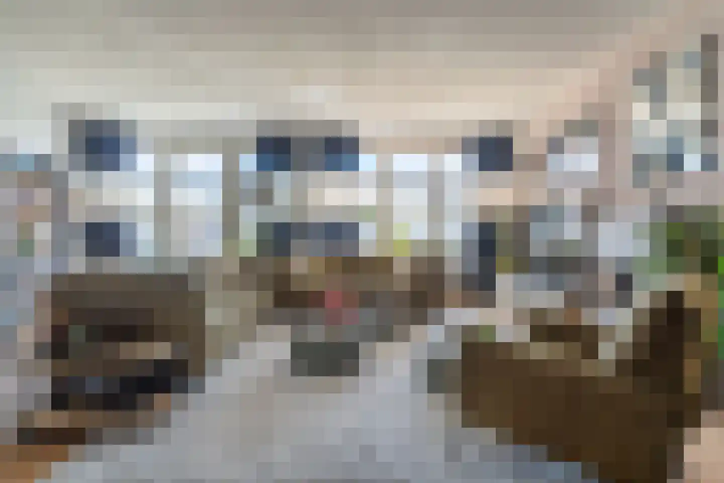 Johannes Vermeersingel 22 Rijnsburg thumbnail 5